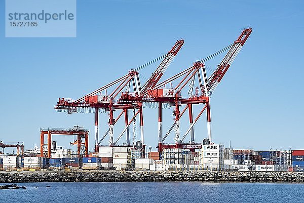 Zwei Containerbrücken im Frachthafen  Halifax  Nova Scotia  Kanada  Nordamerika