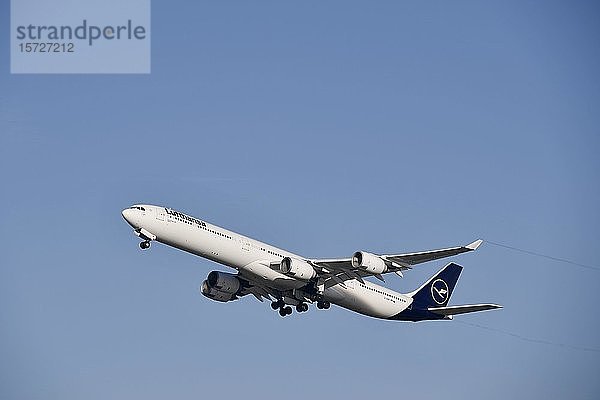 Start  Lufthansa Airbus  A340-600  Neue Lackierung  Flughafen München  Oberbayern  Bayern  Deutschland  Europa