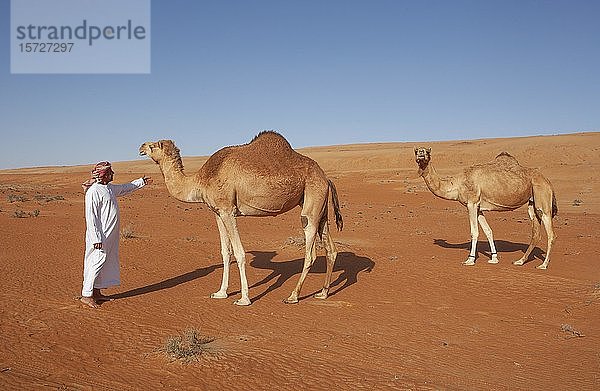 Beduinen in traditioneller Kleidung mit Kamelen in der Sandwüste  Wüste Rimal Wahiba Sands  Oman  Asien
