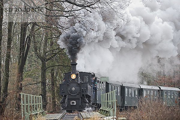 Schmalspurbahn  dampfende Museumsbahn Steyrtalbahn mit Dampflokomotive  Steyr  Oberösterreich  Österreich  Europa