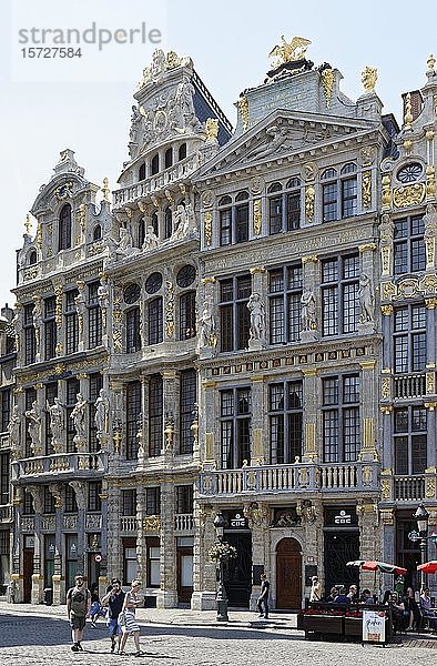Grand-Place  Brüssel  Belgien  Europa