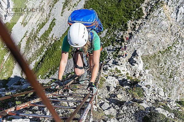 Bergsteiger am Klettersteig steigt über eine Leiter ab  Mittenwalder Klettersteig  Karwendelgebirge  Mittenwald  Deutschland  Europa