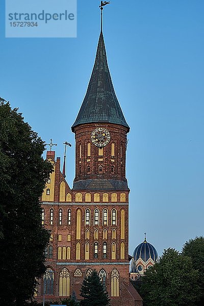 Königsberger Dom  hinter der Synagoge  Kaliningrad  Oblast Kaliningrad  Russland  Europa