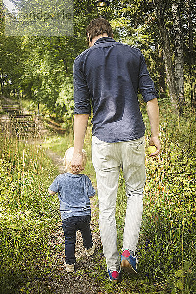Rückansicht in voller Länge von Vater und Sohn beim Spaziergang inmitten von Pflanzen im Park