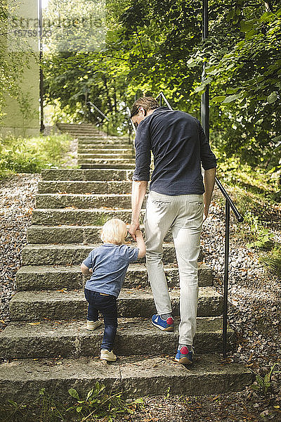 Rückansicht von Vater und Sohn in voller Länge  wie sie sich beim Aufstieg auf der Treppe im Park an den Händen halten