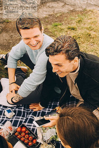 Schrägansicht auf männliche Freunde  die sich unterhalten  während sie auf einer Picknickdecke sitzen