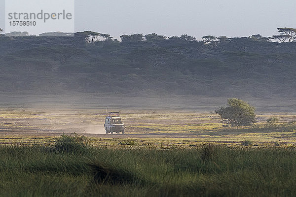 Safari-Fahrzeug  Ndutu  Ngorongoro-Schutzgebiet  Serengeti  Tansania