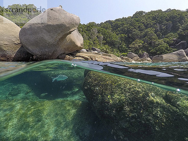 Klares Wasser und Felsen der Insel Ko Miang  Thailand