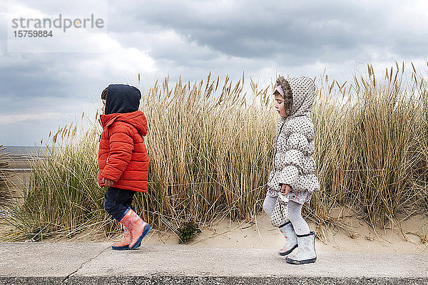 Geschwister erforschen Strand