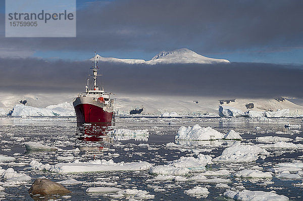 Antarctic Dream ship  Gerlache-Enge  Neko Harbor  Antarktis  Antarktische Halbinsel