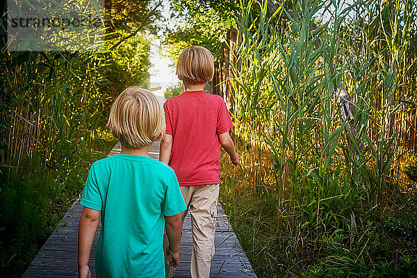 Jungen gehen durch ein Feld hohen Grases  Fire Island Walk  New York  USA