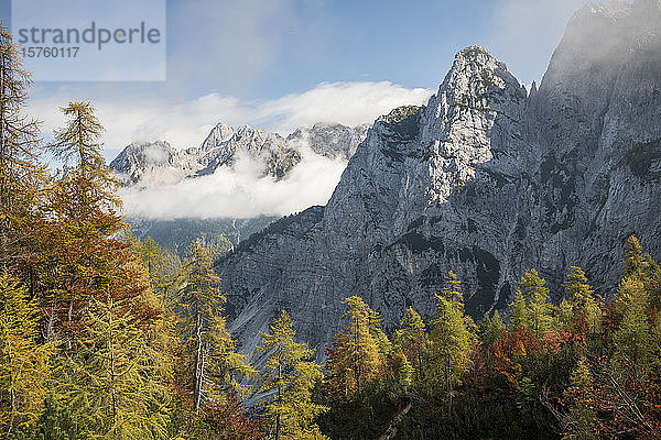 Panoramablick auf die Julischen Alpen  Vrsic-Pass  Triglav-Nationalpark  Oberkrain  Slowenien