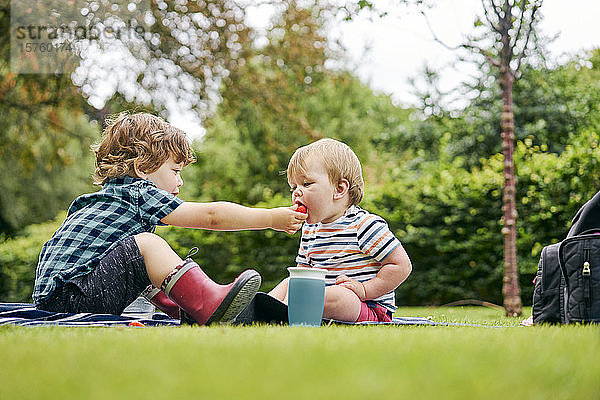 Brüder teilen Essen im Park