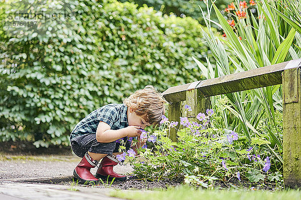 Kleinkind entdeckt Pflanze im Park