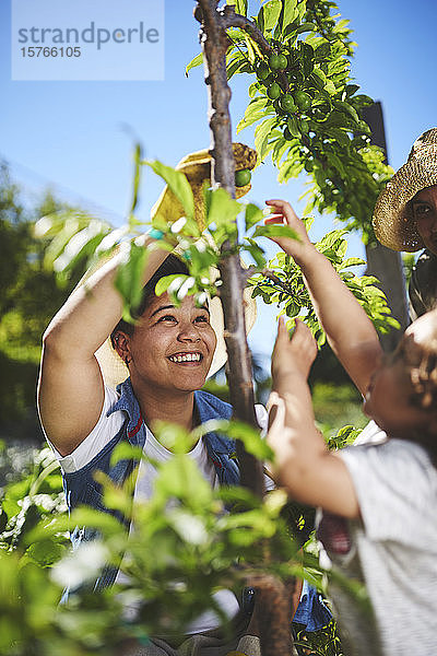 Lächelnde Frau bei der Gartenarbeit im sonnigen Gemüsegarten