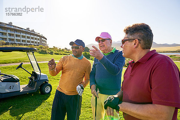 Männliche Golffreunde unterhalten sich auf einem sonnigen Golfplatz