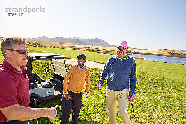Glückliche männliche Golffreunde auf einem sonnigen Golfplatz