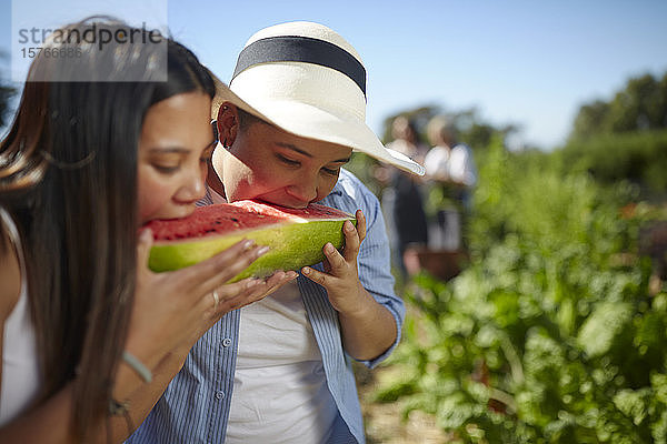 Junge Frauen essen frische Wassermelone vom Bauernhof