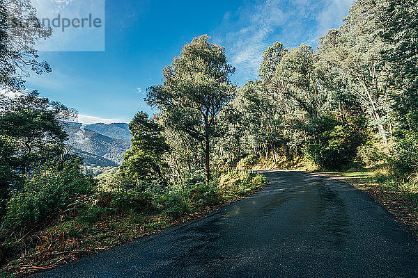 Straße durch sonnige grüne Bäume Kosciuszko National Park Australien