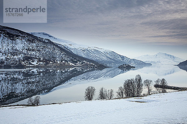 Ruhiger See und schneebedeckte Berge Norwegen