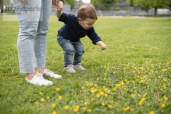 Cute unschuldigen Kleinkind Mädchen pflücken Blumen im Park Gras