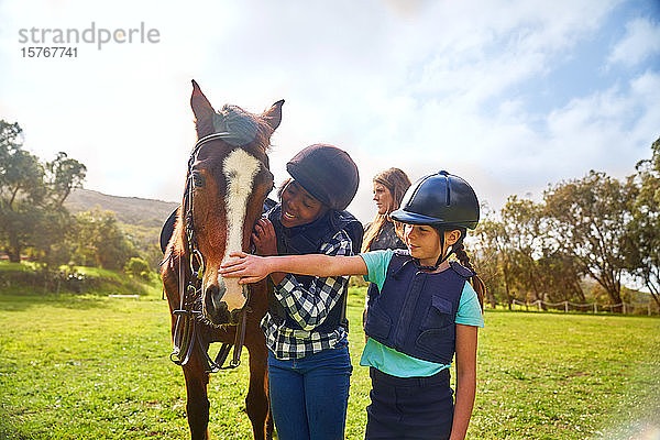 Glückliche Mädchen streicheln Pferd in sonnigen ländlichen Paddock