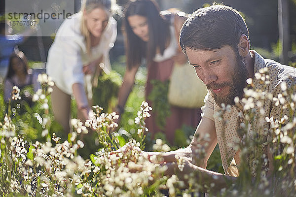 Mann betrachtet Blumen im sonnigen Garten