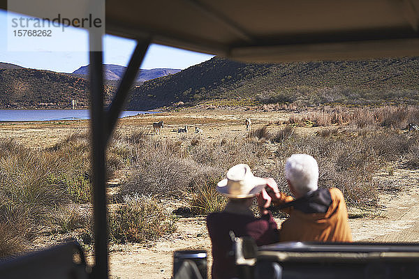 Älteres Paar auf Safari beobachtet Zebras in der Ferne Südafrika