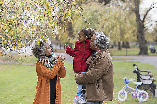 Großeltern mit Enkelin im Herbstpark