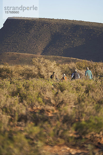 Safari-Gruppe  die entlang einer sonnigen Graslandschaft wandert Südafrika