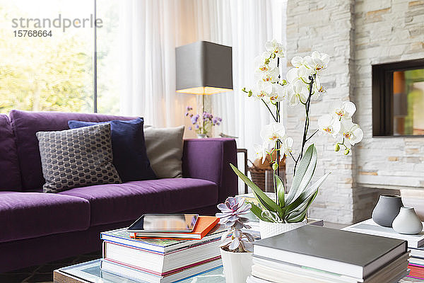 Bücher  Sukkulenten und Orchidee auf dem Couchtisch im Wohnzimmer