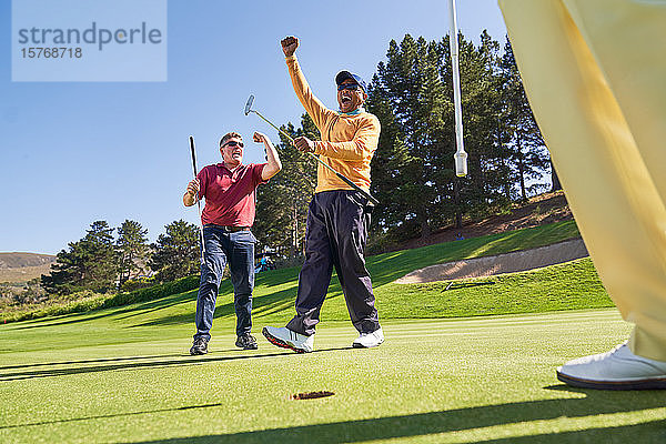 Glückliche männliche Golfer jubeln auf dem sonnigen Putting Green