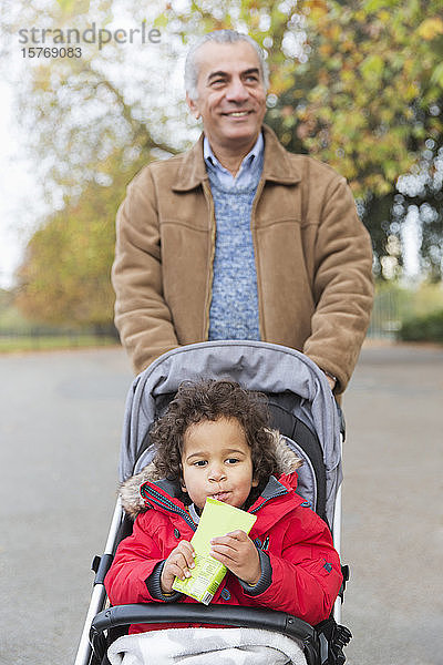 Lächelnder Großvater  der seinen kleinen Enkel im Kinderwagen im Park schiebt