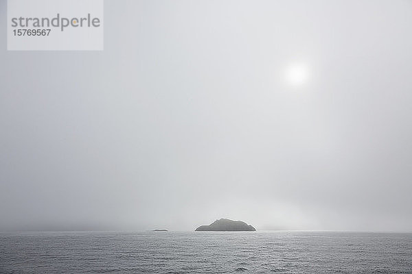 Schmelzende Eisberge auf dem nebligen Atlantik Grönlands