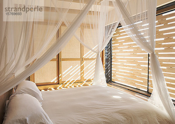 Weiße Gaze Vorhänge auf Himmelbett in ruhigen modernen  luxuriösen Hause Showcase Interieur Schlafzimmer