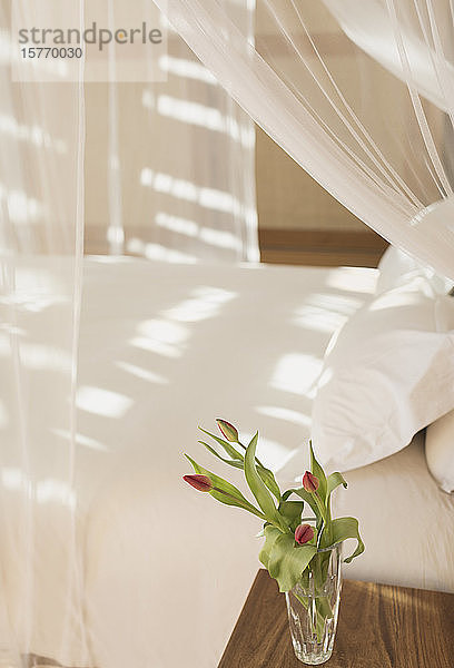 Tulpenstrauß in einer Vase auf einem Nachttisch neben einem Himmelbett mit Gazevorhängen in einem ruhigen  modernen  luxuriösen Vorzeige-Schlafzimmer