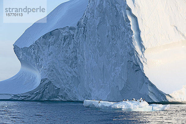 Vögel unter majestätischer Eisbergformation Grönland