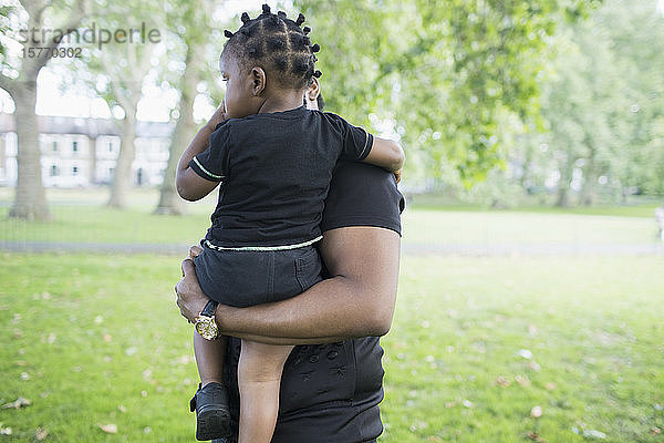 Vater hält sein Kleinkind im Park