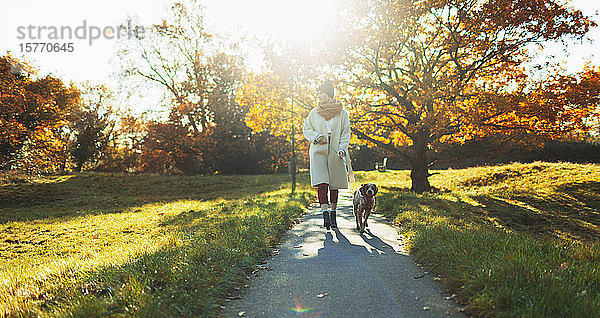 Junge Frau geht mit ihrem Hund im sonnigen Herbstpark spazieren