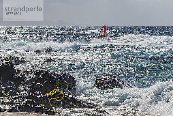 Windsurfer beim Surfen am Strand von Hookipa Beach; Paia  Maui  Hawaii  Vereinigte Staaten von Amerika