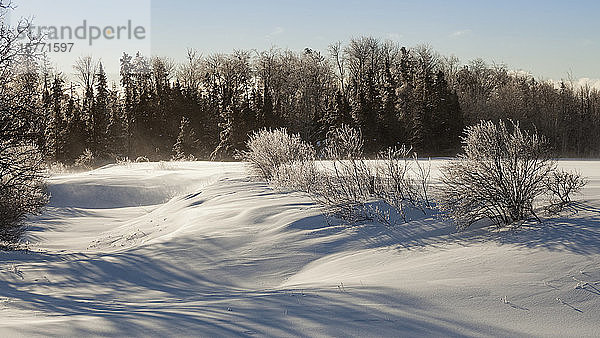 Winterlandschaft mit verschneiten Feldern  Schatten und blauem Himmel; Sault St. Marie  Michigan  Vereinigte Staaten von Amerika