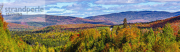 Kräftig gefärbtes Herbstlaub im Wald  der sich über die Hügel erstreckt  Laurentian Mountains; Quebec  Kanada