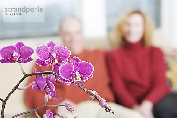 Nahaufnahme von Blumen mit einem reifen Paar  das im Hintergrund sitzt.