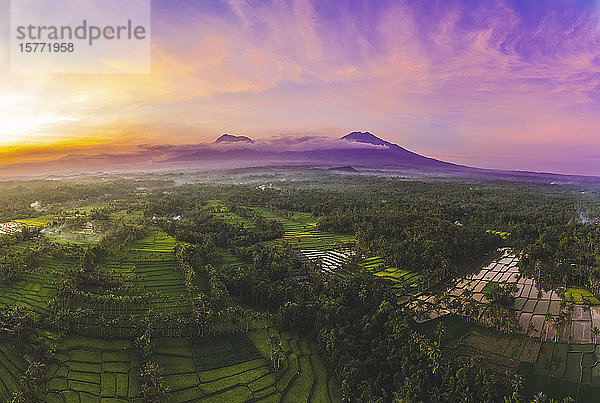 Sonnenuntergang in den Licin-Reisterrassen; Ost-Java  Java  Indonesien
