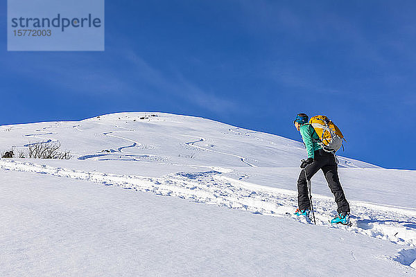 Frau beim Skilanglauf  Bergaufsteigen in Fellen  auf AT-Skiern und Fellen in Hatcher's Pass  Alaska  Talkeetna Mountains; Alaska  Vereinigte Staaten von Amerika