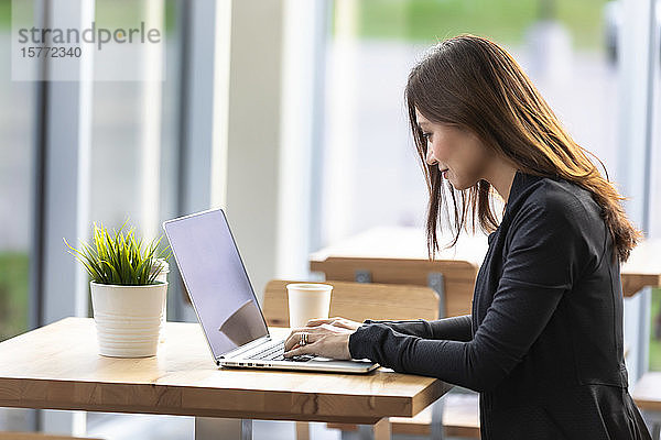 Eine berufstätige asiatische Frau  die in einem Café an einem Computer arbeitet: Edmonton  Alberta  Kanada