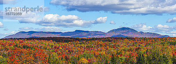 Kräftig gefärbtes Herbstlaub im Wald und die Laurentian Mountains in der Ferne; Quebec  Kanada