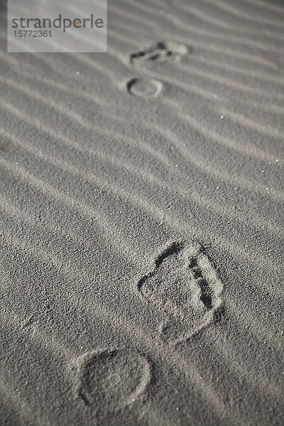 Fußabdrücke auf den Gipsdünen des White Sands National Monument; Alamogordo  New Mexico  Vereinigte Staaten von Amerika