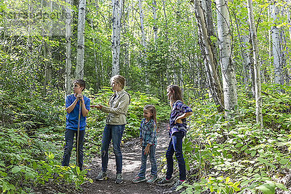 Vier Geschwister  drei Mädchen und ein Junge  stehen auf einem Pfad in einem Wald; British Columbia  Kanada