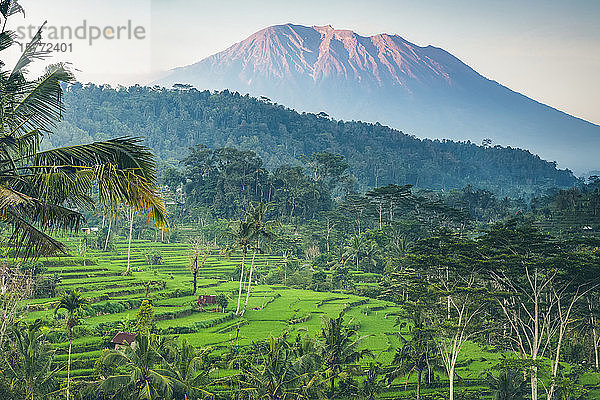 Sonnenuntergang in den Reisterrassen von Sideman; Bali  Indonesien